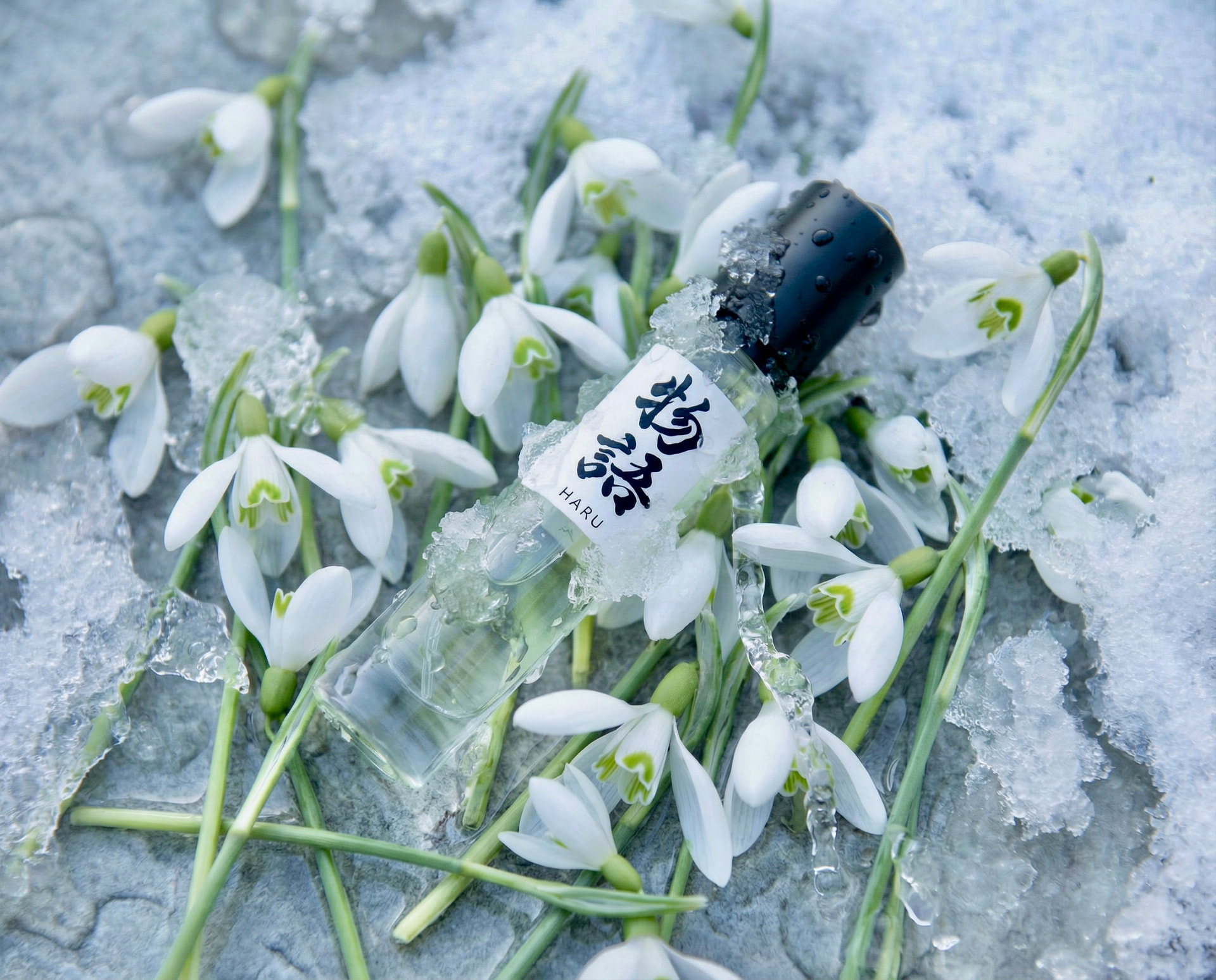 HARU perfume by Monogatari